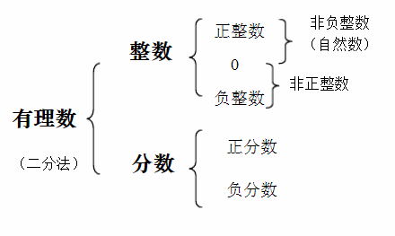 数包括什么数和什么数